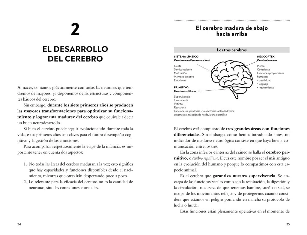 Jugar, leer, crecer: El método para acompañarlos en la lectoescritura a su ritmo (Bruguera Tendencias)