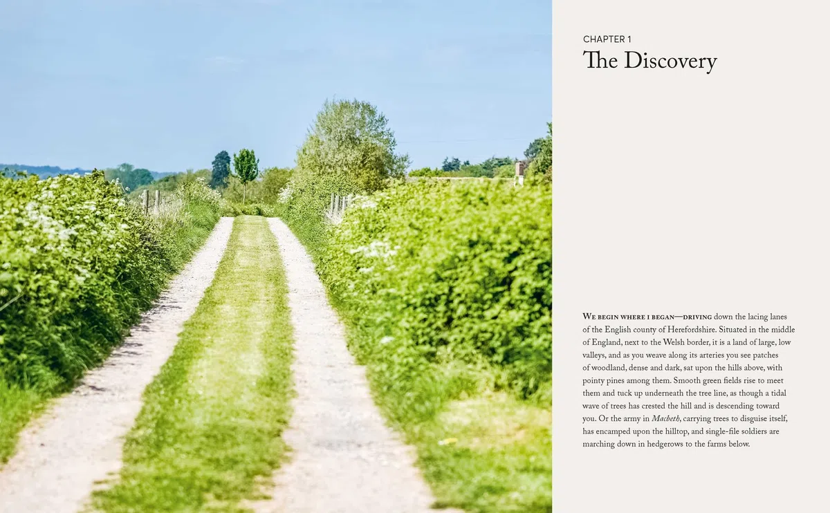 Fine Cider: Understanding the world of fine, natural cider