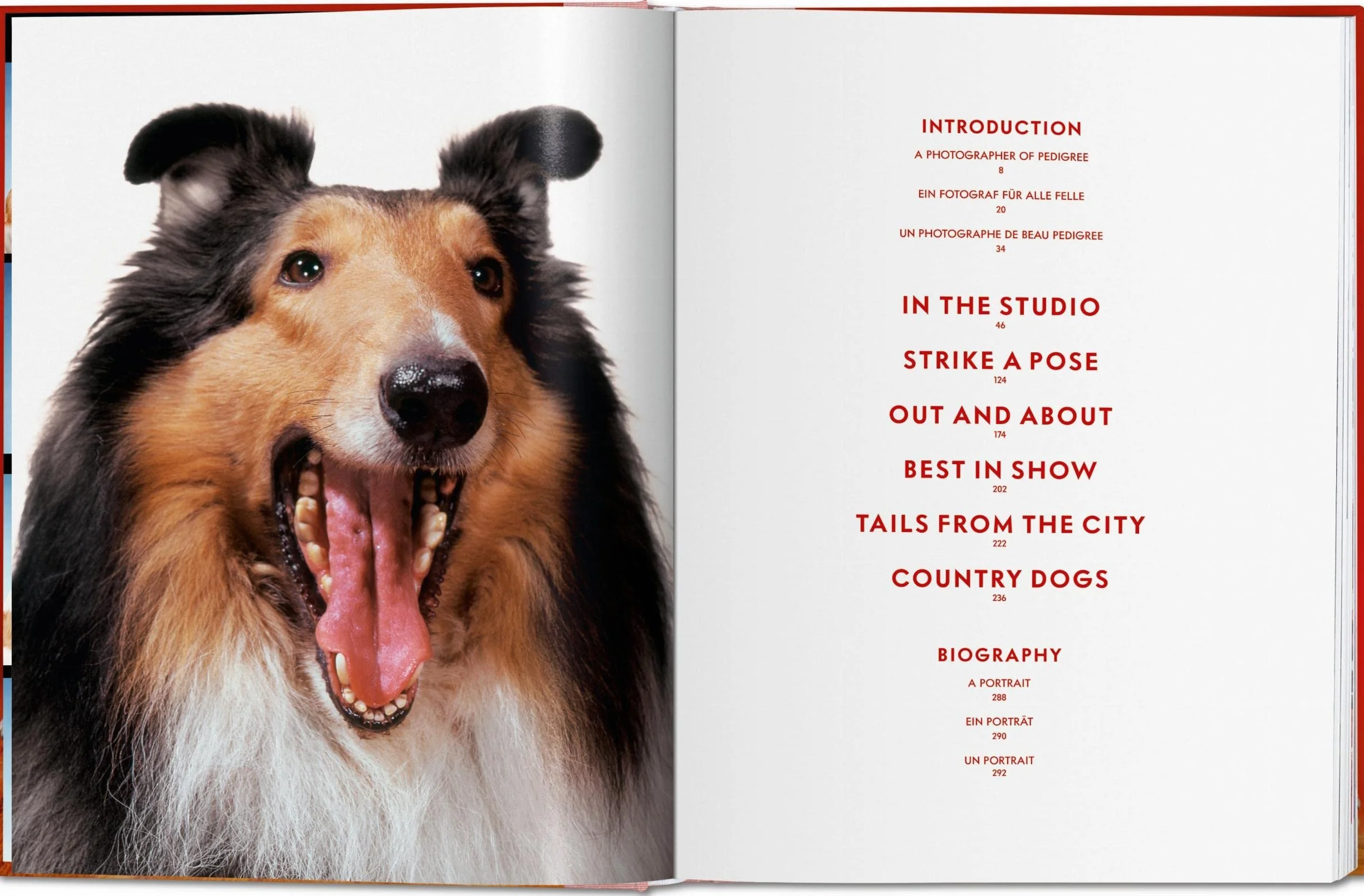 Chandoha, Dogs (trilingüe): Dogs. Photographs 1941–1991 (Photography Book)