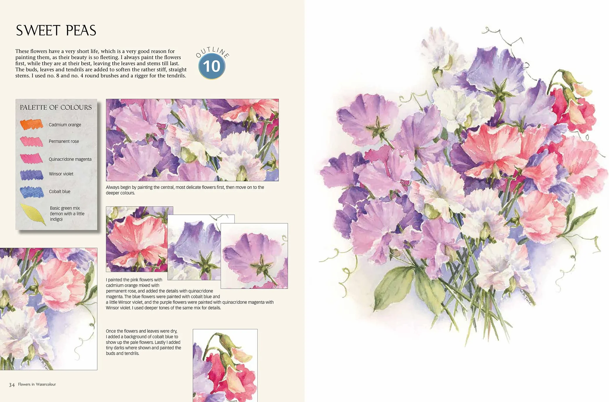 The Watercolour Sourcebook: 60 Inspiring Pictures to Transfer and Paint with Full-Size Outlines (What to Paint)