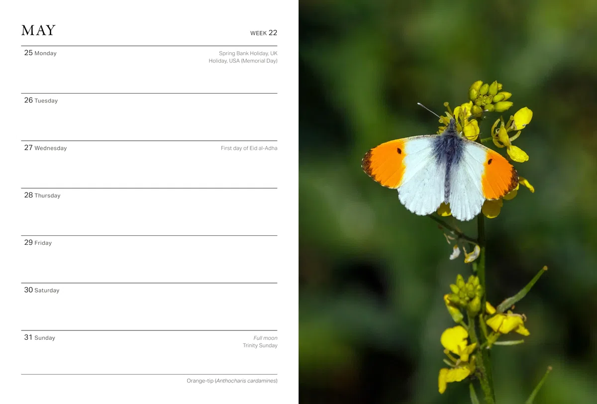 RHS Wild in the Garden Diary 2026