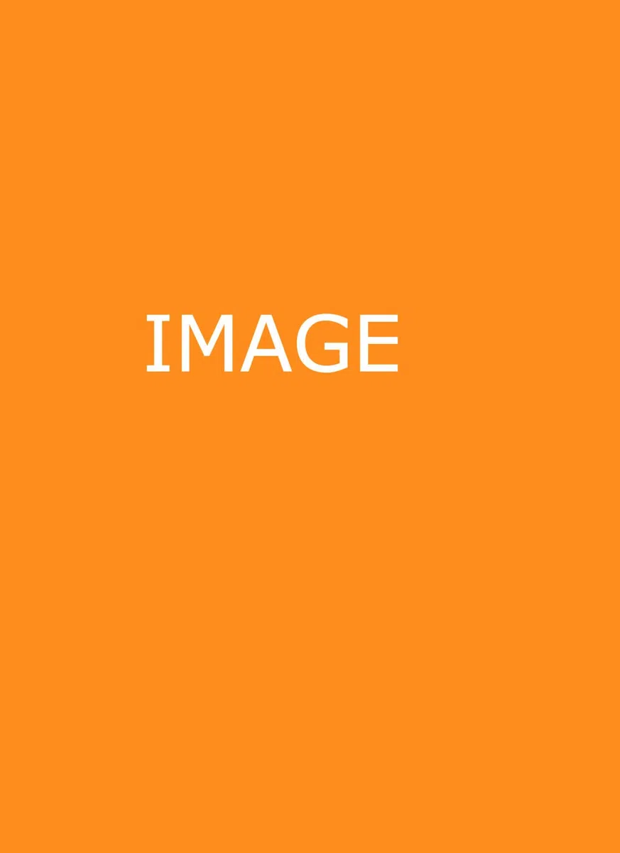 Integrated Chinese Level 1 Part 1 - Character Workbook (Simplified and Traditional characters)