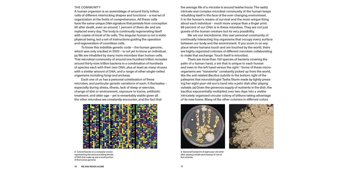 We the Bacteria: Notes Toward Biotic Architecture