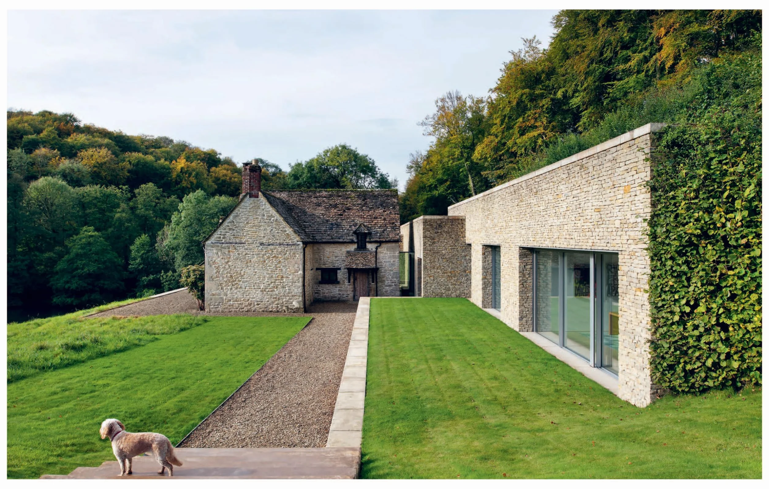 Resident Dog: Incredible Dogs and the International Homes They Live In