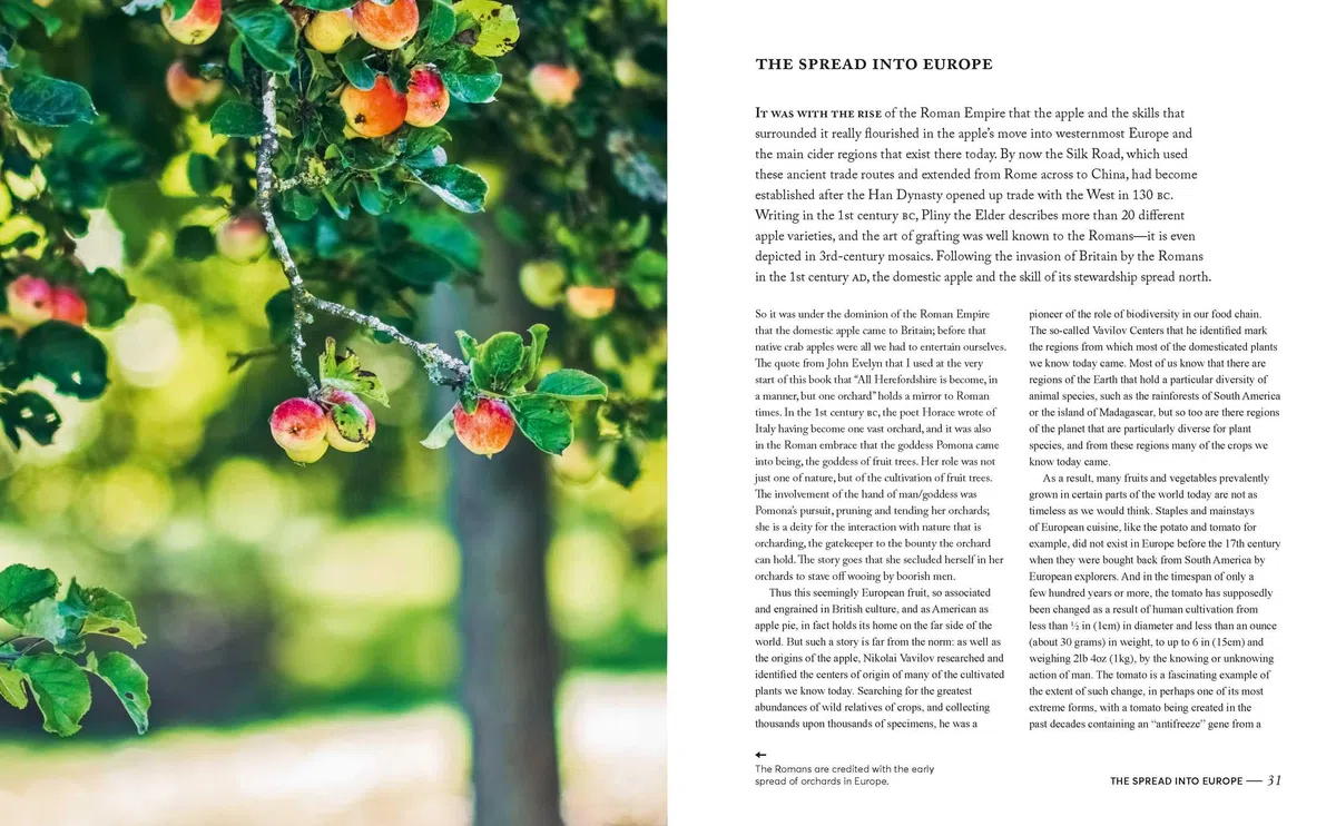 Fine Cider: Understanding the world of fine, natural cider