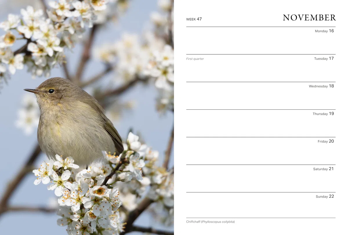 RHS Wild in the Garden Diary 2026