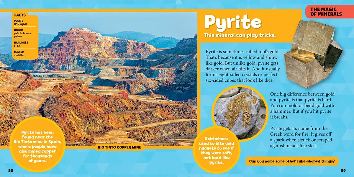 National Geographic Little Kids First Big Book of Rocks, Minerals & Shells