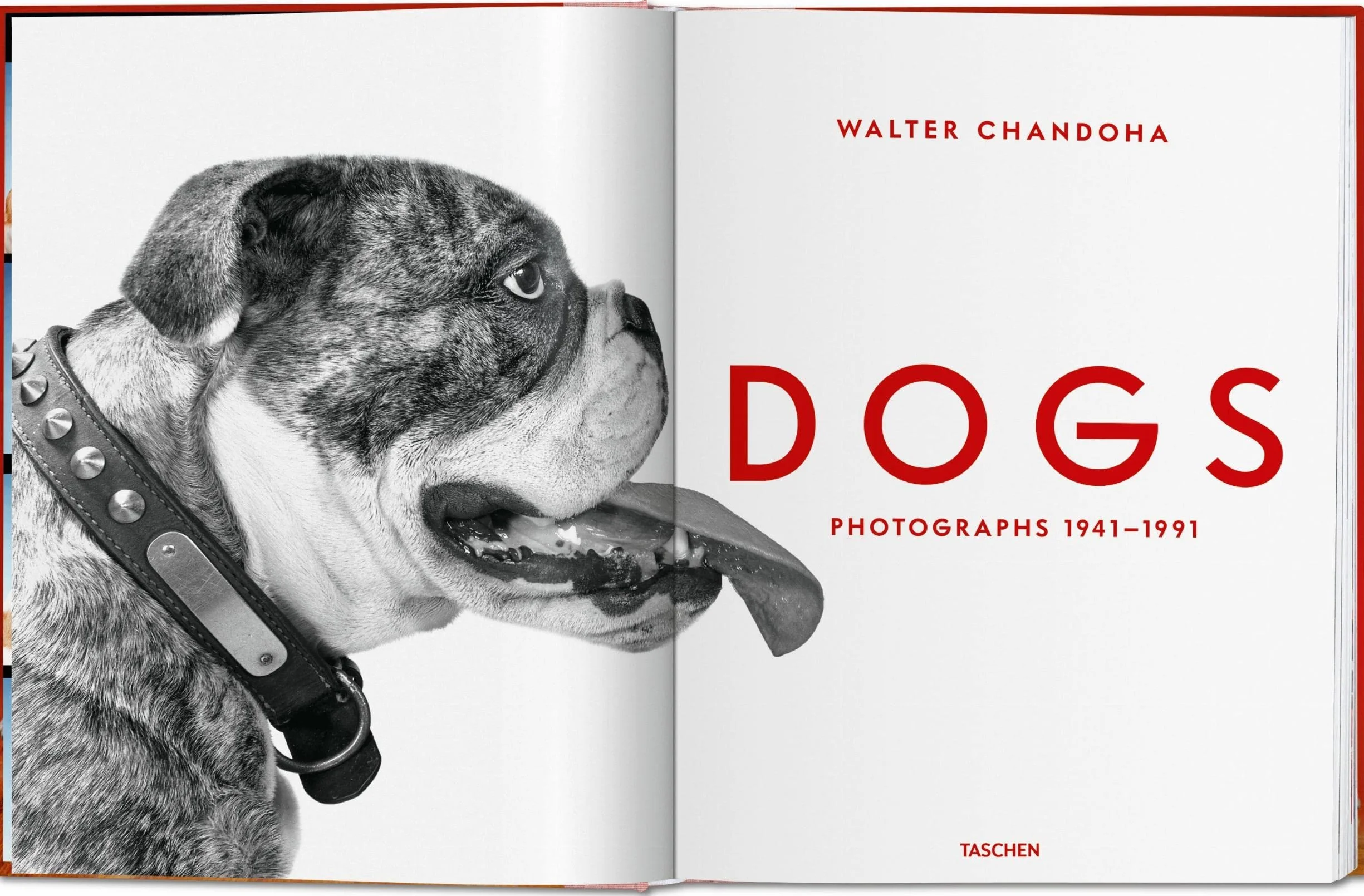 Chandoha, Dogs (trilingüe): Dogs. Photographs 1941–1991 (Photography Book)