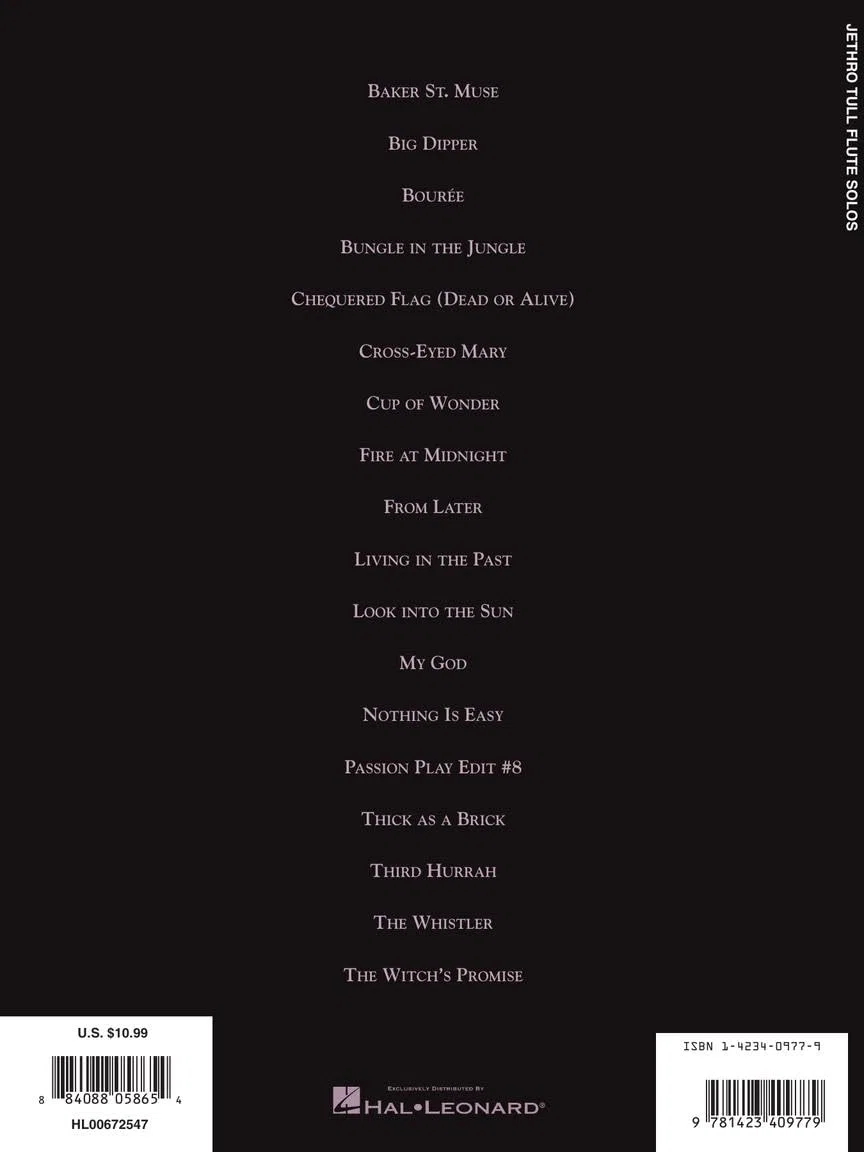 Jethro tull flute solos flute traversiere