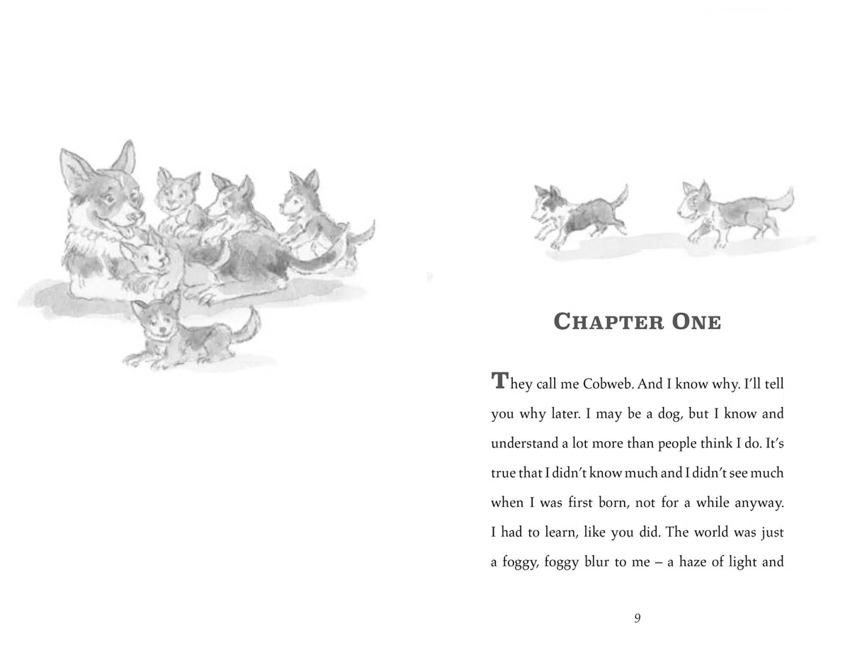 Cobweb: A heart-warming new story of bravery, friendship, and an incredible journey, for children and adults everywhere from the bestselling author of WAR HORSE.