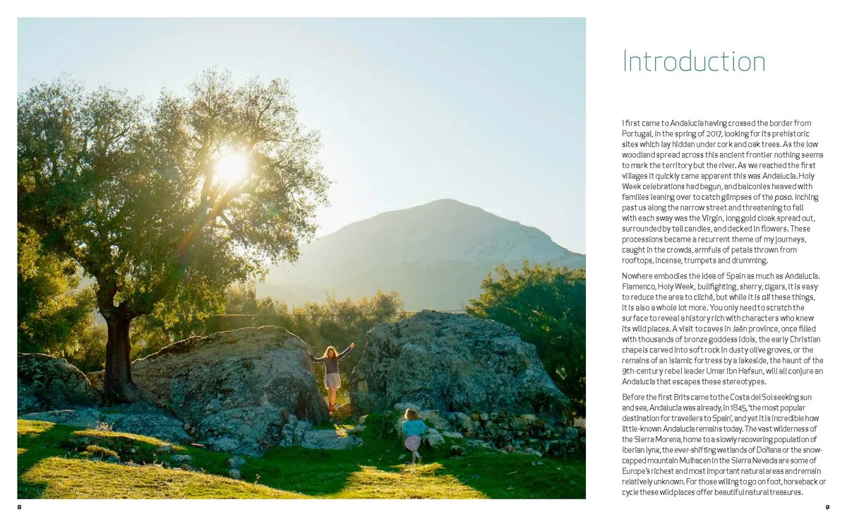 Wild Guide Andalucia: Hidden places, great adventures and the good life in southern Spain