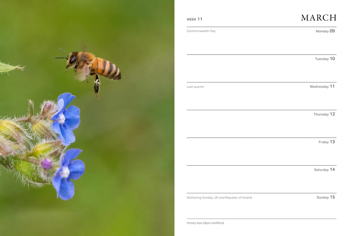 RHS Wild in the Garden Diary 2026