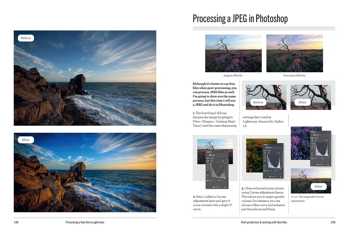 The school of photography: beginner's guide