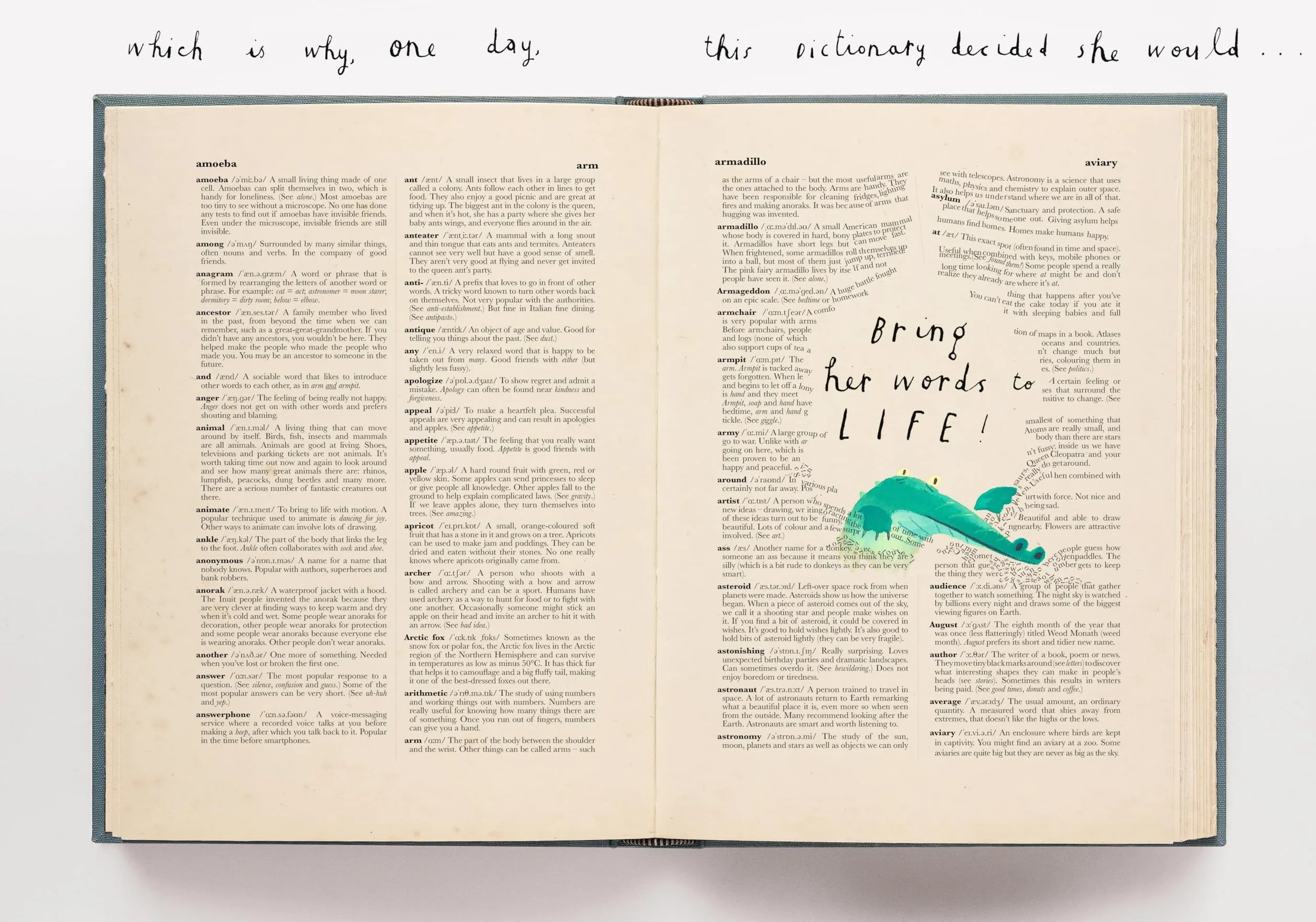 The Dictionary Story: The perfect gift for book lovers! From the award-winning duo behind A Child of Books comes a unique and ground-breaking celebration of words, storytelling and imagination