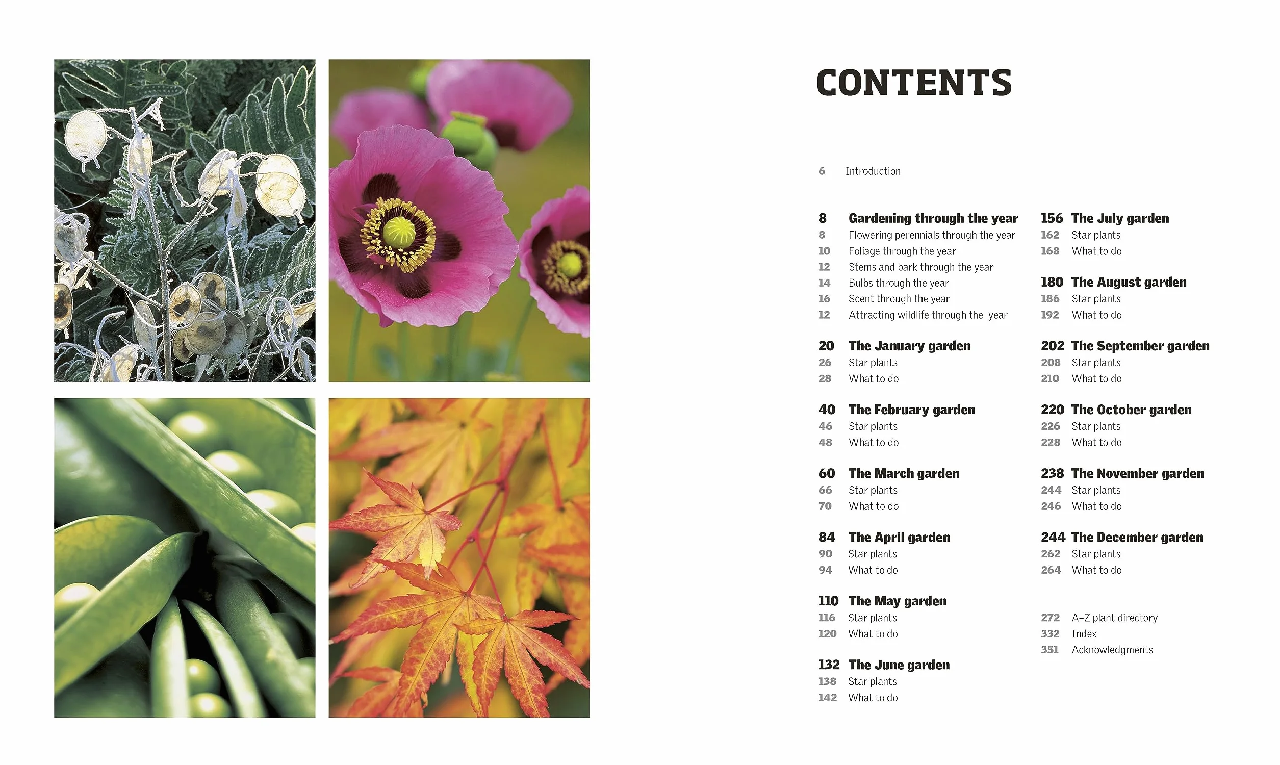 RHS Gardening Through the Year: New Edition - Month-by-month Planning Instructions and Inspiration
