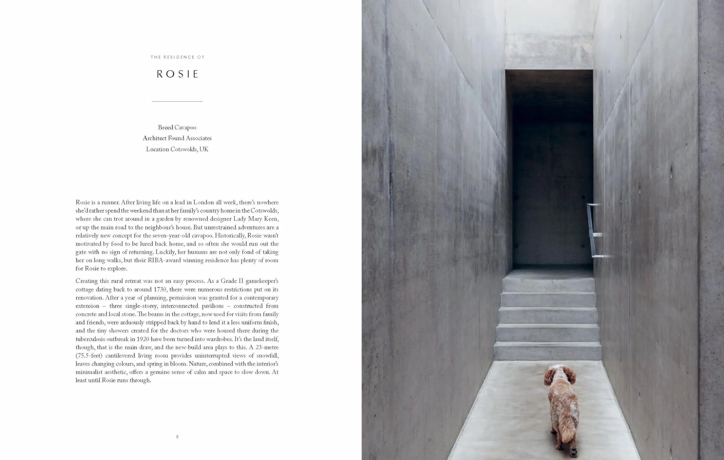 Resident Dog: Incredible Dogs and the International Homes They Live In