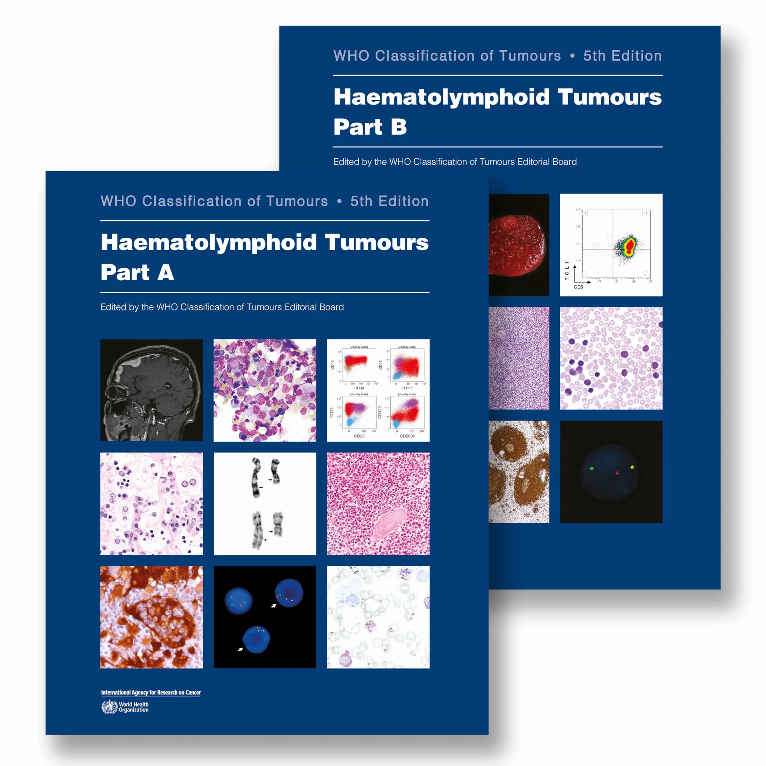 The WHO Classification of Tumours Haematolymphoid Tumours (Volume 11) 5th edition