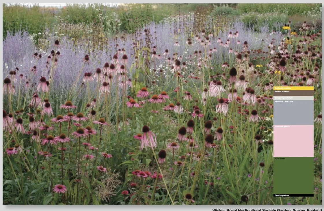 Piet Oudolf: Landscapes In Landscapes