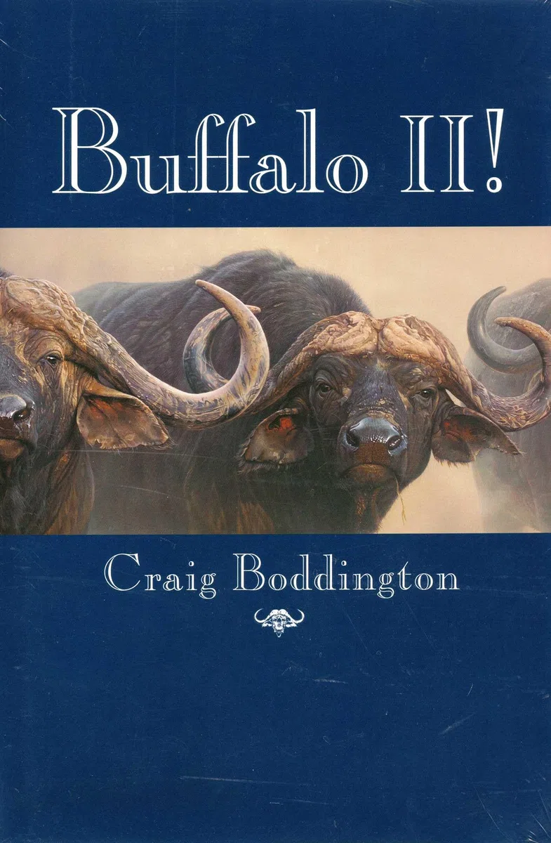 Buffalo II!: More Lessons Learned: 2