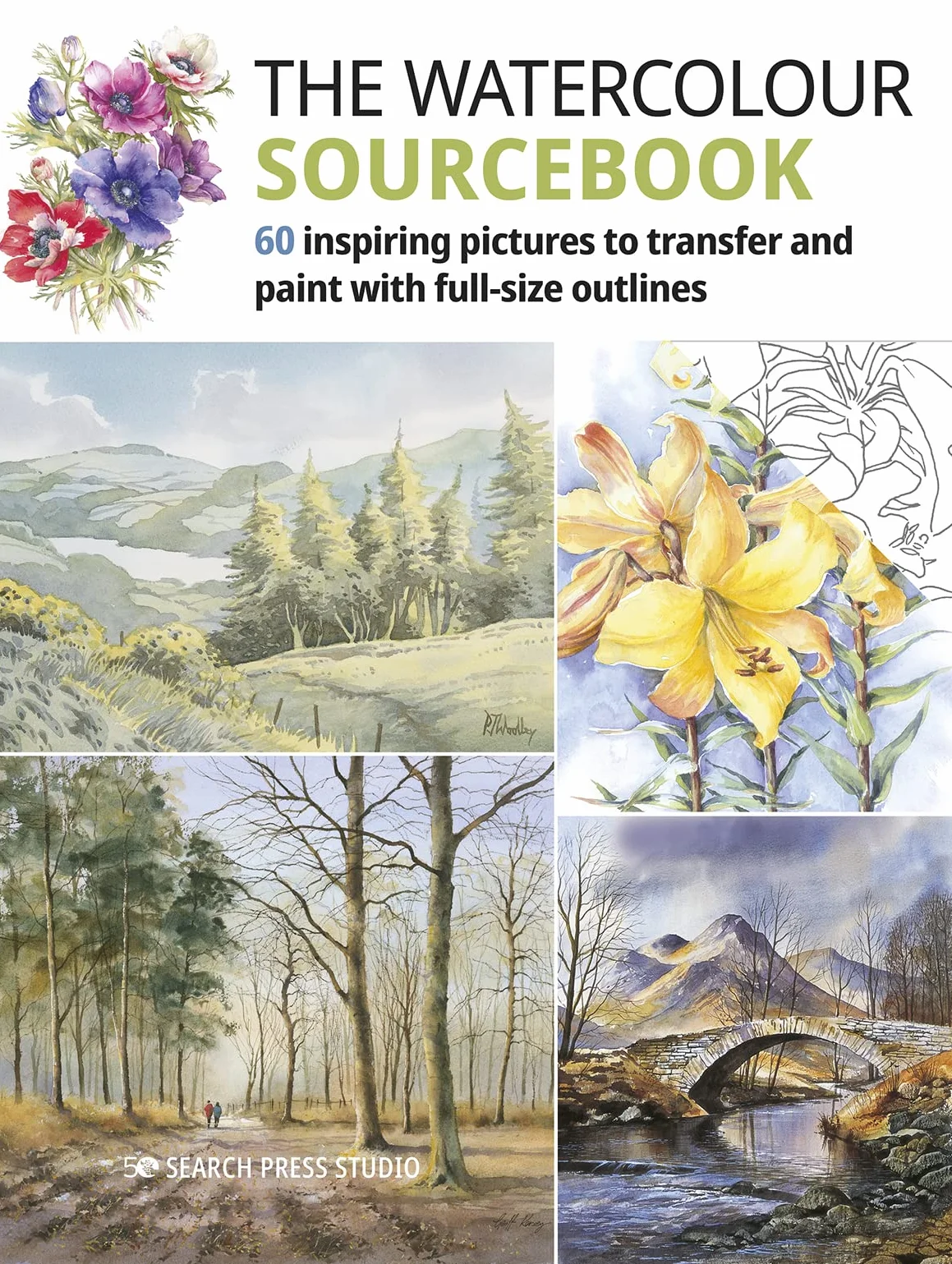 The Watercolour Sourcebook: 60 Inspiring Pictures to Transfer and Paint with Full-Size Outlines (What to Paint)