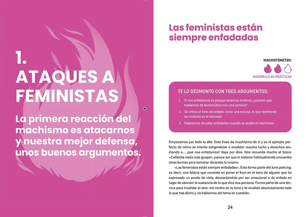 Fuego al machismo moderno: Respuestas feministas para frenar la nueva ola misógina (GROU)