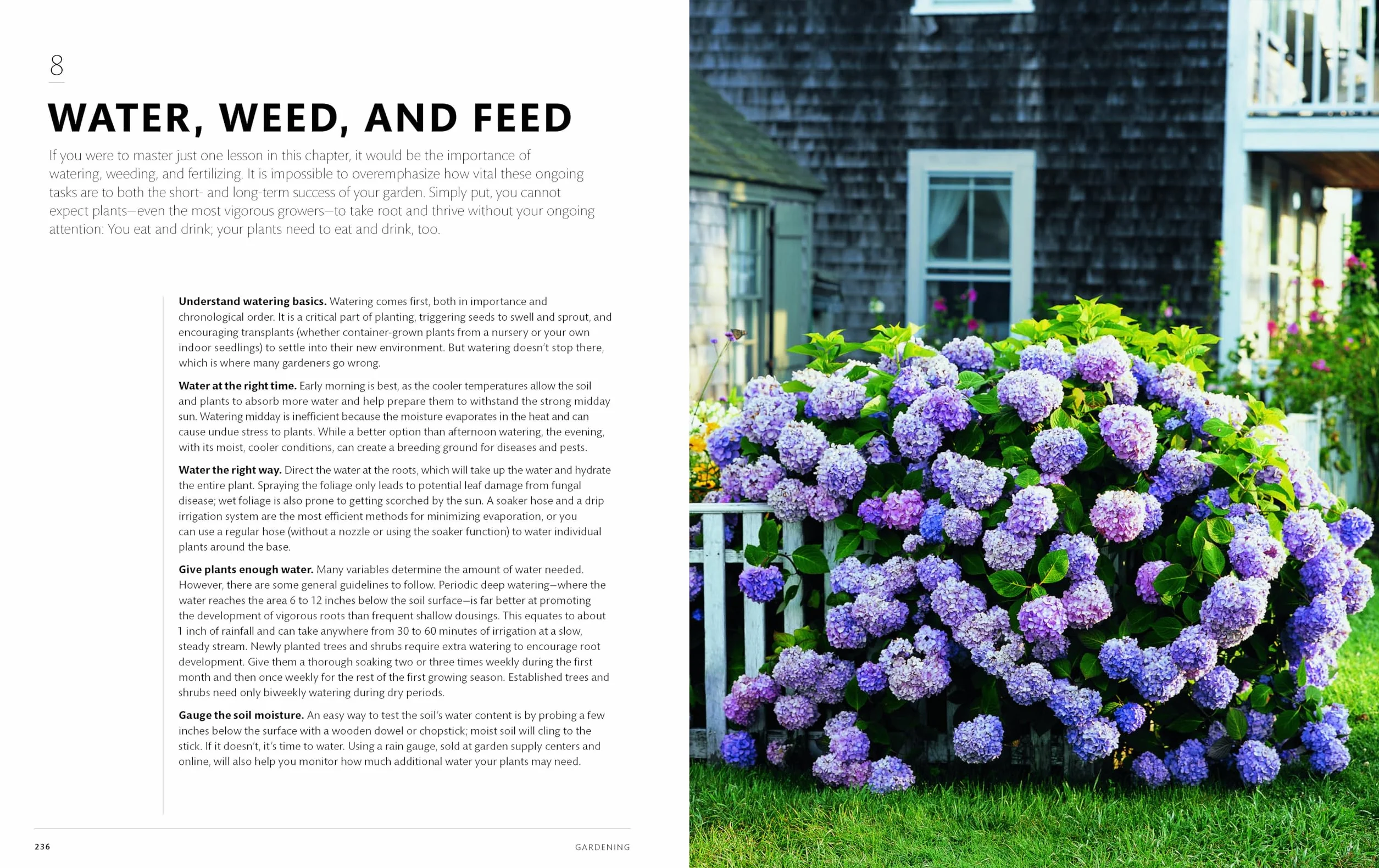 The Martha Way: Essential Principles for Mastering Home and Living (Harvest)