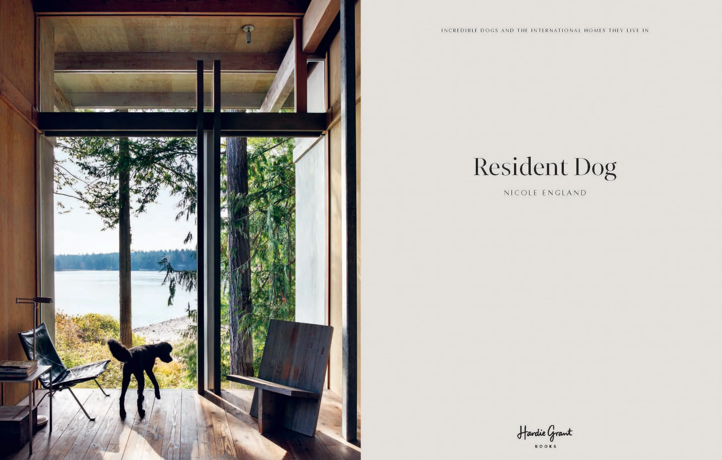 Resident Dog: Incredible Dogs and the International Homes They Live In