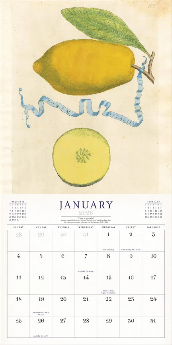 World of John Derian Wall Calendar 2026