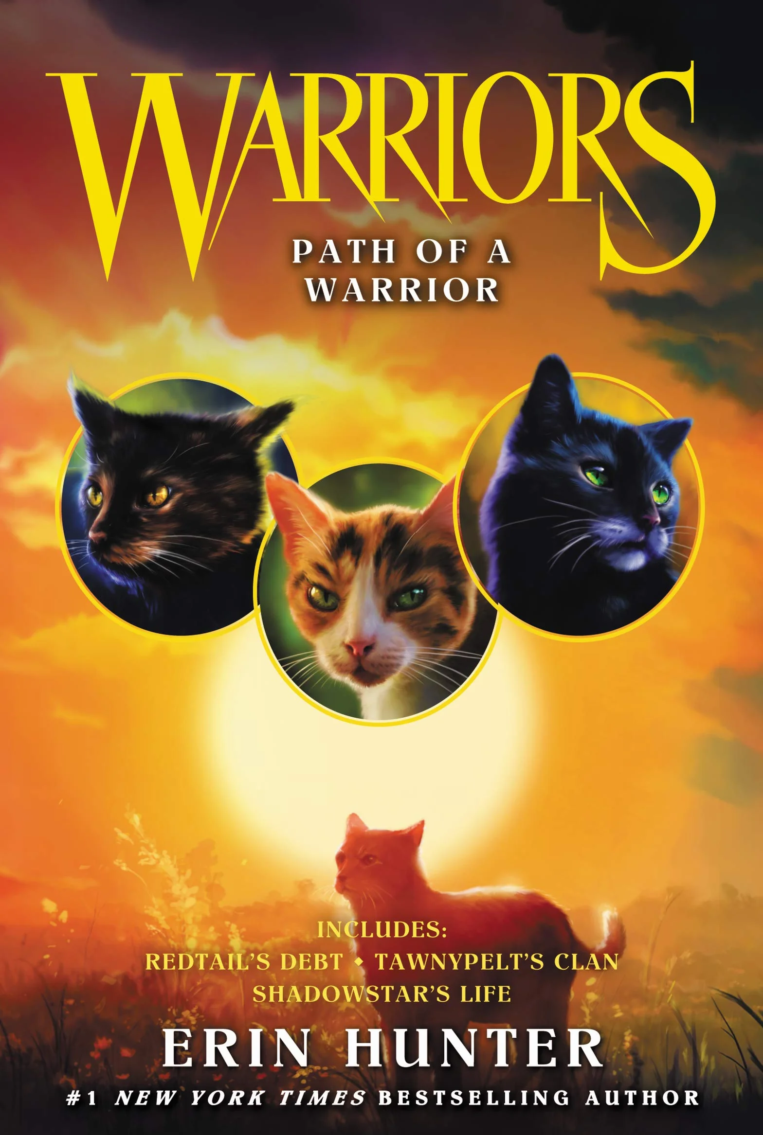 Warriors: Path of a Warrior: 5 (Warriors Novella, 5)