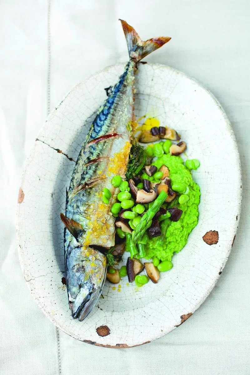El arte de comer bien: Cuando lo delicioso se encuentra con lo sano (Salamandra fun & food)