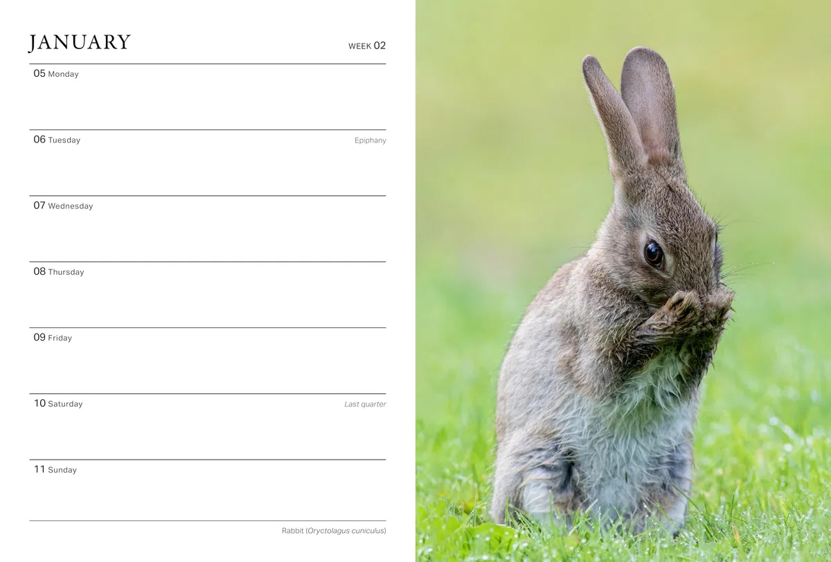 RHS Wild in the Garden Diary 2026