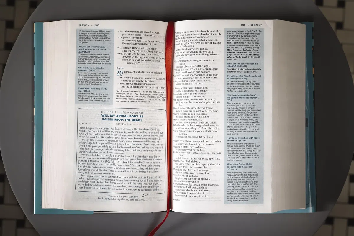Holy Bible: New International Version, Quest Study Bible for Teens, The Question and Answer Bible, Comfort Print, Charts and Maps, Satin Ribbon Marker