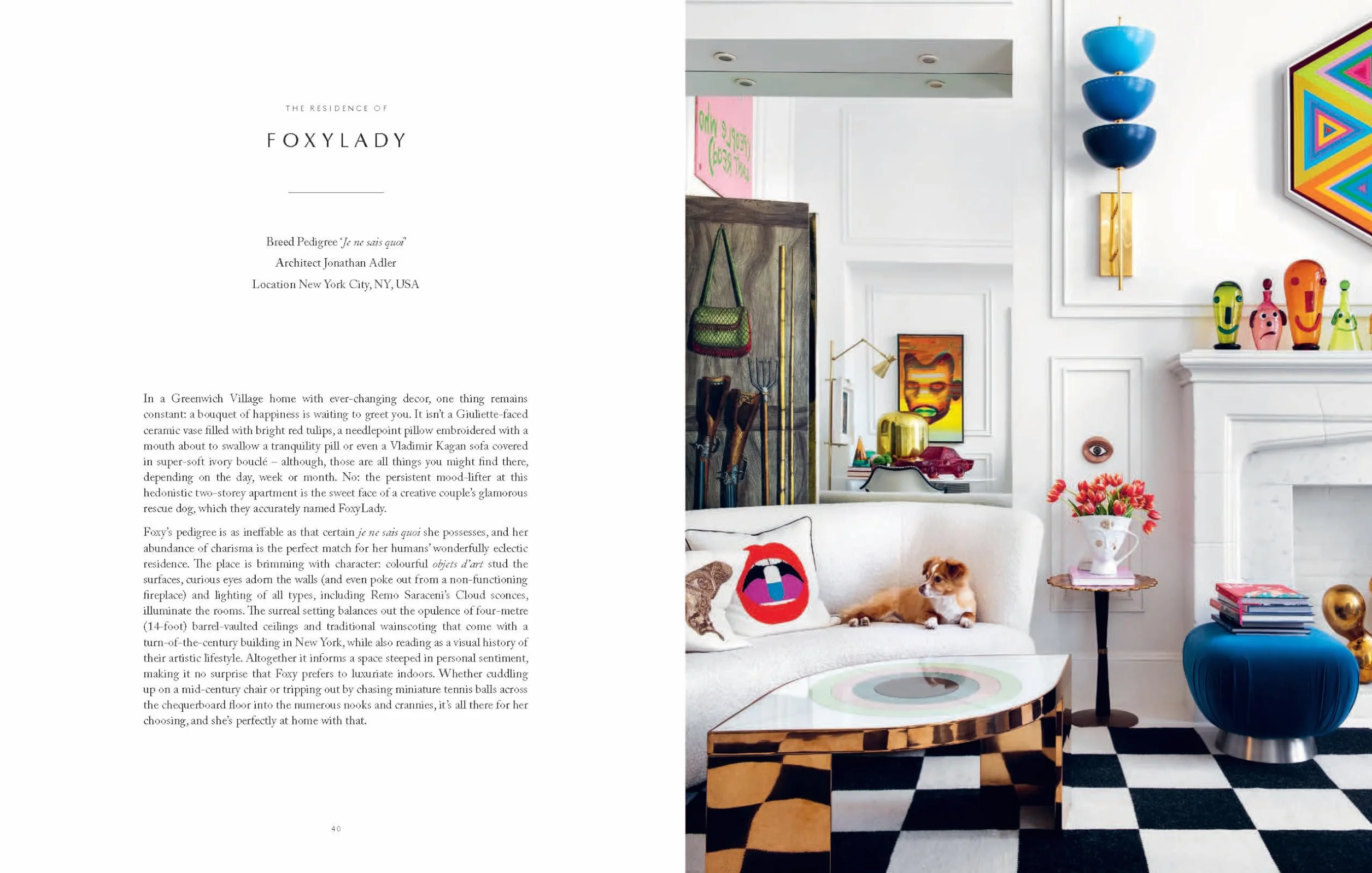 Resident Dog: Incredible Dogs and the International Homes They Live In